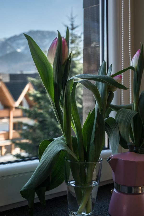 5 Krokow Zakopane Luaran gambar